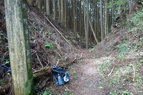 第45番札所 海岸山 岩屋寺