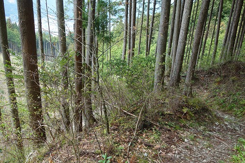 第45番札所 海岸山 岩屋寺