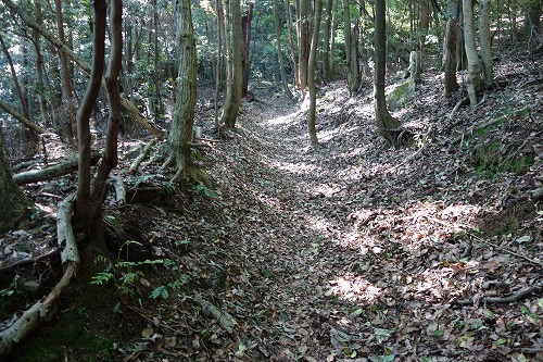 第65番札所 由霊山 慈尊院 三角寺