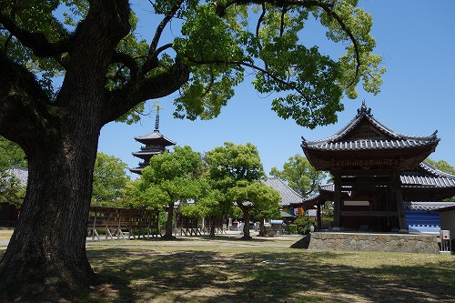 第70番札所 七宝山 持宝院 本山寺