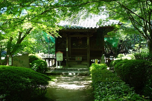 第81番札所 綾松山 洞林院 白峯寺