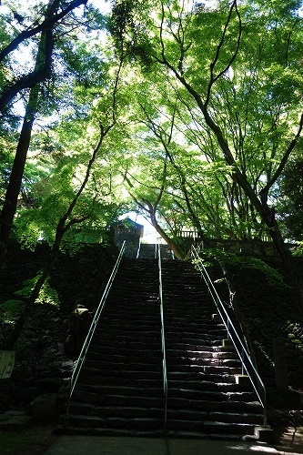 第82番札所 青峰山 千手院 根香寺