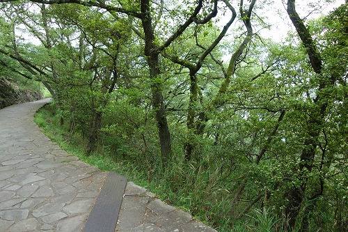 第84番札所 南面山 千光院 屋島寺