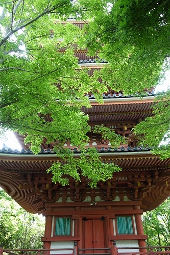 第86番札所 補陀洛山 志度寺