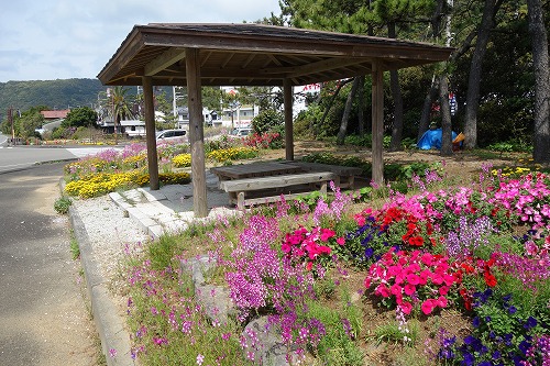 ��26�ԎD�� �����R �����@ ��������