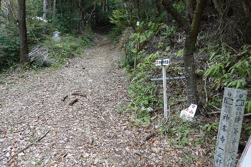 27�ԁ@�_�����@�՘H��