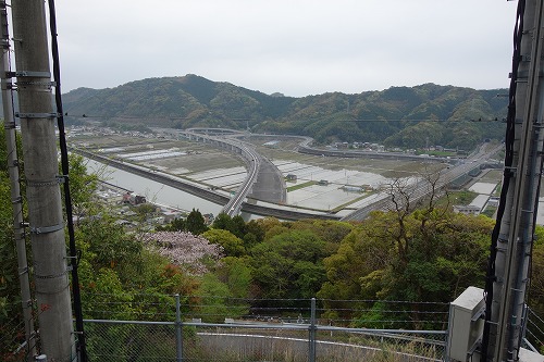 ��31�ԎD�� �ܑ�R ���F�@ �|�ю�