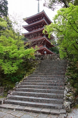 �|�ю��̌܏d��