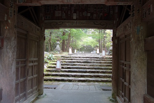 ��31�ԎD�� �ܑ�R ���F�@ �|�ю�