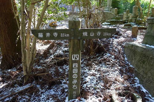 12�ԁ@�ĎR���@���W