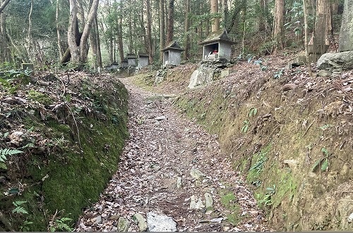 ��12�ԎD��  �ĎR���@�՘H��