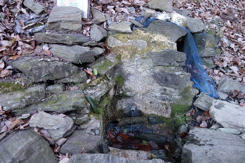 12�ԁ@����t