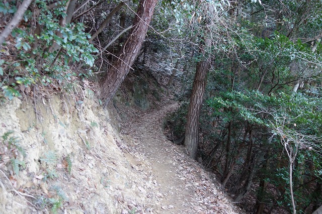 12�ԏĎR���@�՘H��