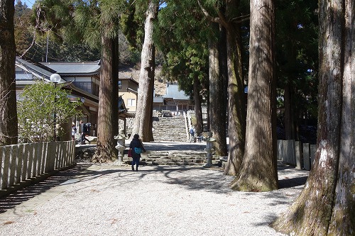 12�ԁ@�ĎR��