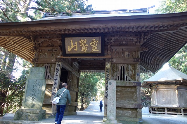 ��20�ԎD�� ��h�R ���@ �ߗю�