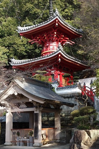 金泉寺