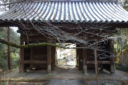 ��8�ԎD�� �����R �^���@ �F�J��