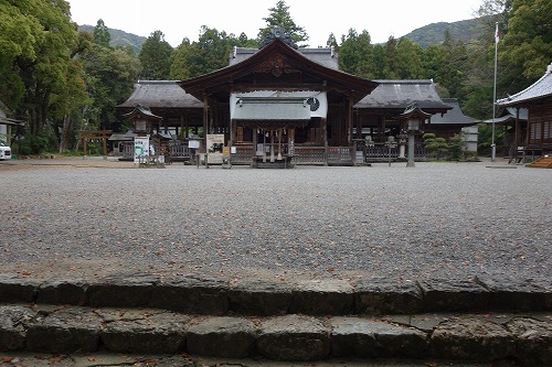 �y���_�� �y������{