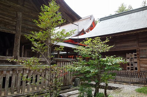 �y���_�� �y������{