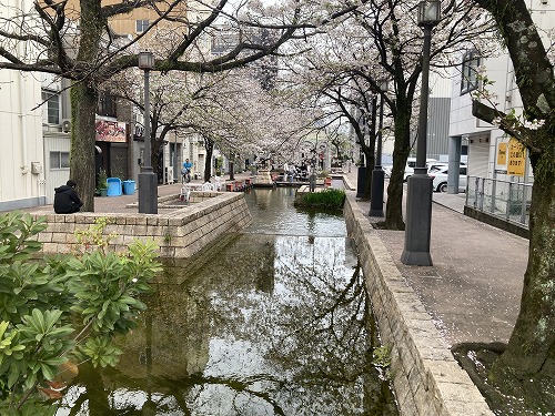 ���S�C�����m�͂�܂⋴