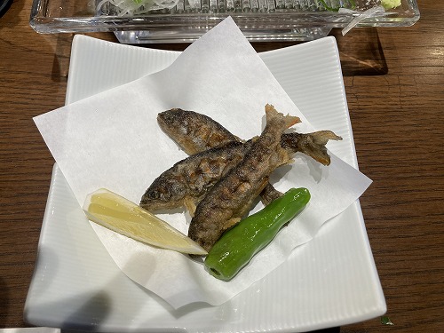 �y��������@�O�z��