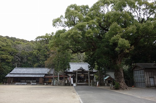 �����_��